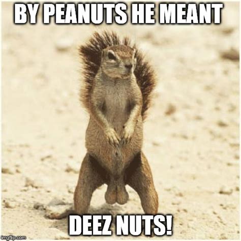 Deez Nuts with The Nutcracker, funny meme white text Poster. By ArtOfTrolling. $25.13. Deez nuts sold here Poster. By Treos. $26.18. Deez Nuts Squirrel Poster. By Frank095. …