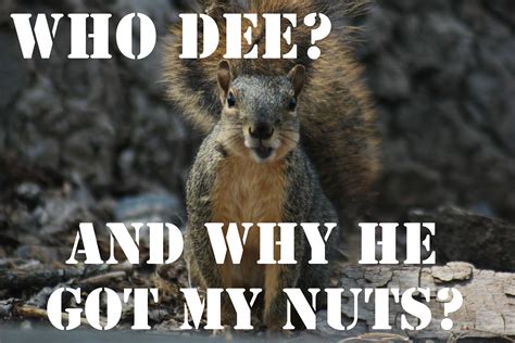 Deez nutz jokes. A joke that originated from the song "Deeez Nuuuts" on Dr. Dre's original album "The Chronic", released in 1992. Since then, the phrase has mutated into "deez nutz" and catching people with "deez nutz" has become America's 3,157th favorite pastime, just behind underwater basket-weaving and just ahead of collecting Spongebob Squarepants paraphernalia. 