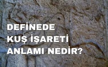 codini.rgarabwor.edu.pl. 