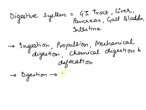 Define Digestion Answer