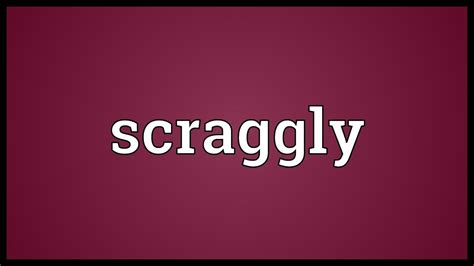 Define Scraggly: Understanding the Term's Significance