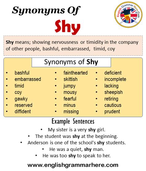 Define Shy Synonyms