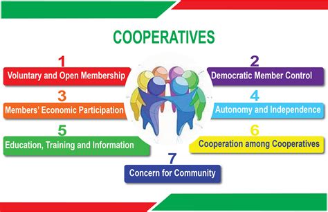 7 Cooperative Principles. The International Co-Operative Alliance adopted seven cooperative principles in 1995. These guiding values are based on a set of principles known as the Rochdale Principles, which were first created in 1844. The cooperative principles create guidelines for co-ops to follow and allow co-ops to put their values into action. . 