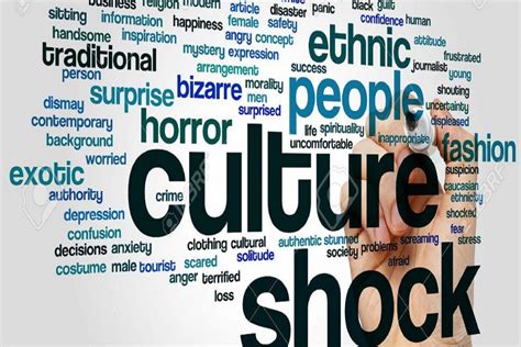 Cultural Shock. The feeling of disorientat