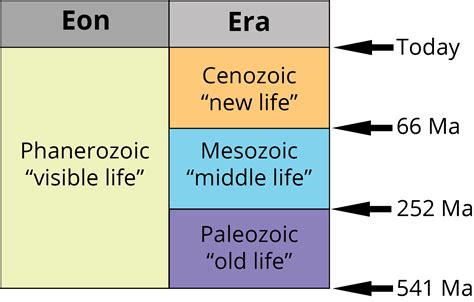 As increasingly smaller units of time, the generally accepted divisions are Eon, Era, Period, Epoch, and Age. In the time scale shown below, two levels of this .... 