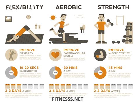Define fitness. Frequency and Duration; Intensity; Muscular Strength and Endurance; Flexibility; Body composition; In many studies related to physical fitness and health, researchers have focused on exercise, as well as on the more broadly defined concept of physical activity.Physical activity is defined by the World Health Organization as any … 
