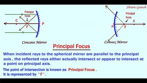 Define principal focus for convex mirror? EduRev Class 10 Question