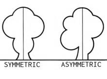 Definición de Asimetría » Concepto en DefinicionABC