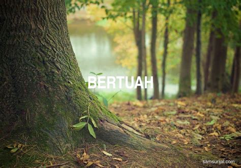 Definisi: bertuah, Arti Kata: bertuah