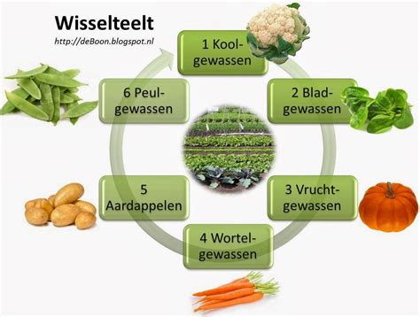 Definitie moestuin