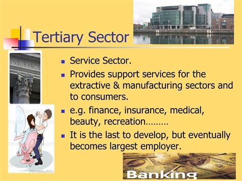 Definition - Tertiary sector Insee