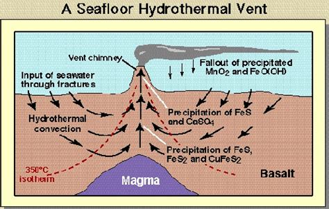 Definition of hydrothermal vent in Microbiology.