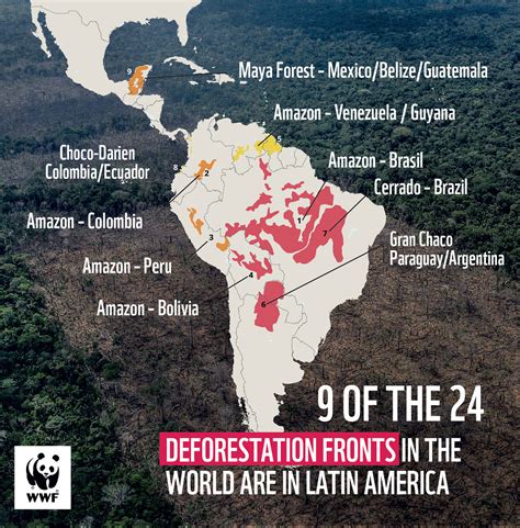 The Deforestation Fronts report offers an in-depth analysis of 24 ‘def