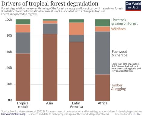 Deforestation statistics 2018.  Deforestation is the conversion of for...