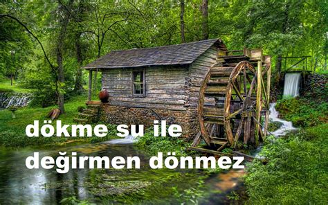 Degirmen Halı ve Koltuk Yıkama