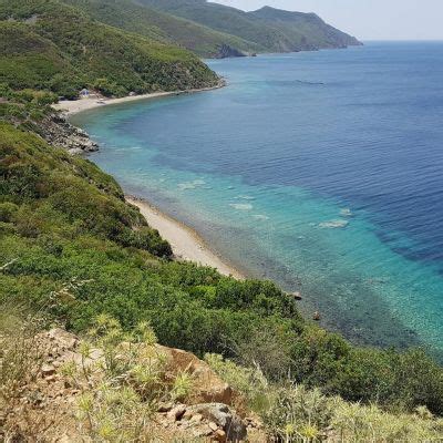 Degirmenduzu Halı ve Koltuk Yıkama