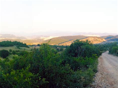 Degirmenli Halı ve Koltuk Yıkama