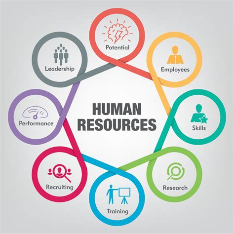 Degree in hr. Jul 28, 2023 · HR specialists typically hold a bachelor’s degree in human resources, psychology, business administration with a focus in HR or a related discipline. A bachelor’s in HR equips graduates with a ... 