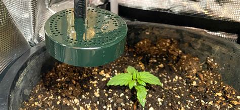 Dehumidifier Inside Grow Tent: The Ultimate Guide to Controlling Humidity