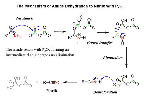 Dehydration of amide with PCl5 - Chemistry Stack Exchange