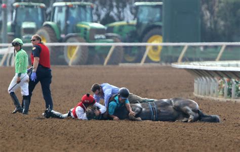 Del Mar race horse dies after training accident; marks first fatality of season