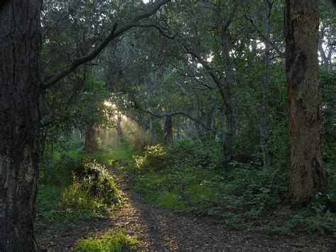 Del Monte Forest, CA - Niche