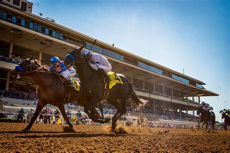 Del mar races. Del Mar Entries & Results for Saturday, August 12, 2023. Del Mar, known as "Where the Surf Meets the Turf", was founded by a group of Hollywood stars including Bing Crosby in 1937. Del Mar hosted its first Breeders' Cup in 2017 and will host again in 2021. Biggest stakes: The Pacific Classic, the Eddie Read Handicap, and the $300,000 Del Mar ... 