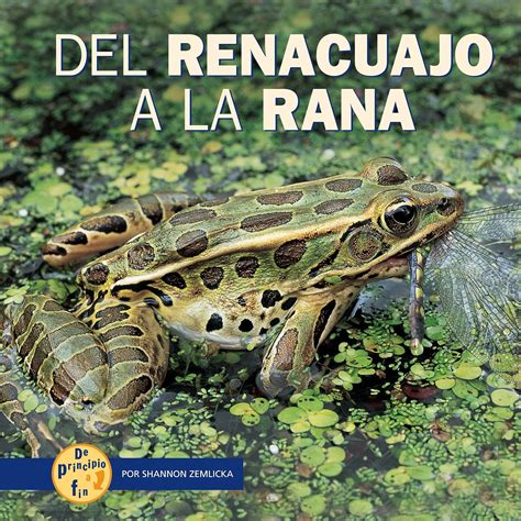 Del renaucajo a la rana / from tadpole to frog (de principio a fin / start to finish). - Manual de instrucciones de keyence gv series.