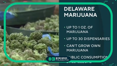 Delaware governor drops opposition to marijuana legalization