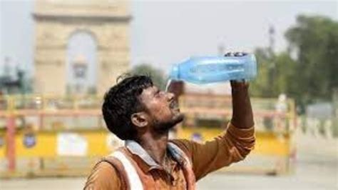 Delhi likely to get warmer next week, IMD predicts temperature …