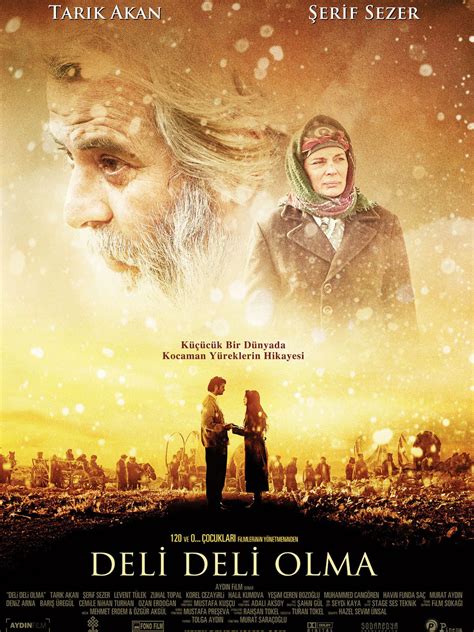 codini.rgarabwor.edu.pl. 