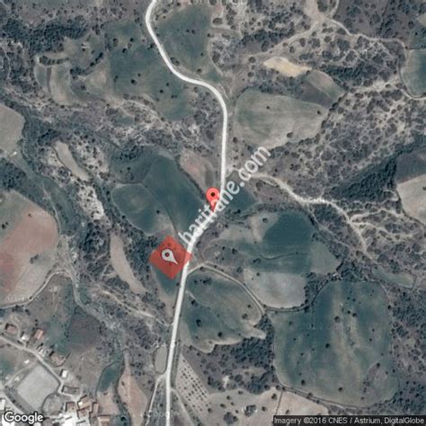 Delibasli Halı ve Koltuk Yıkama