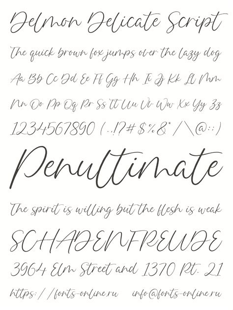 Delicate Script Font
