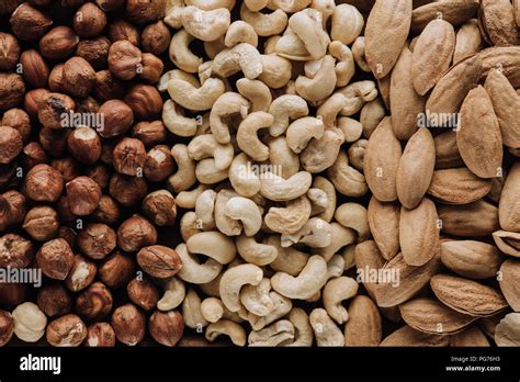 Delicious Nuts From All Over the World, Agriculture & Farming Tourism