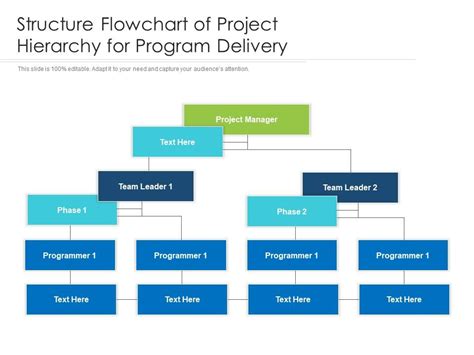 Delivery Manager Hierarchy
