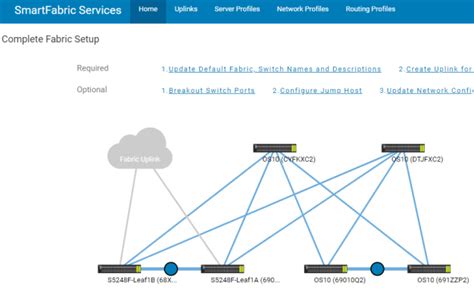 Dell switch management gui.  Connect to the SmartFabric GUI From a workstation with acce...