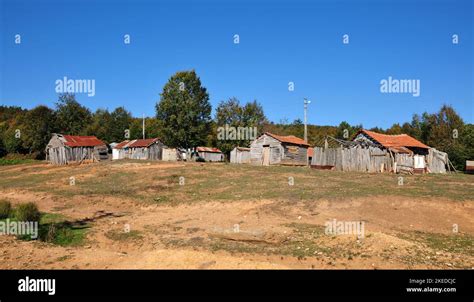 Delmece Halı ve Koltuk Yıkama