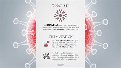Delta Plus What to Know About This Strain of COVID