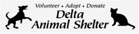 Delta animal shelter. Things To Know About Delta animal shelter. 