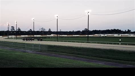 Delta Downs Entries & Results for Thursday, February 16, 2