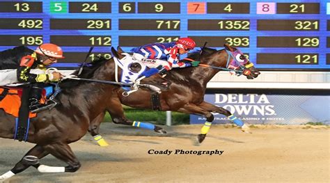 Thoroughbred Racing; Delta Downs; Entries; Results; Delta Downs . Track Details . Racing Dates: Oct 06, 2023 to Feb 24, 2024 Corporate Name: Delta Downs Racing Association, Inc. Facility Address: 2717 Delta Downs Drive Vinton, LA 70668 Mailing Address: 2717 Delta Downs Drive Vinton, LA 70668 Phone: 800-589-7441 Email:. 