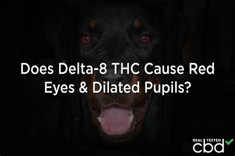 Delta-8 Dilation — Does Delta-8 THC Cause Red Eyes & Dilated Pupils?