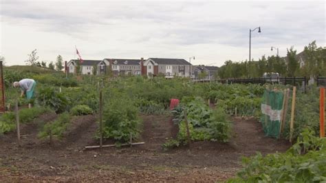 Demand for community gardens grows alongside …