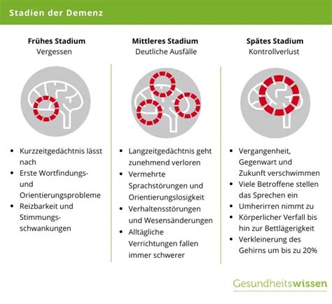 Demens stadier