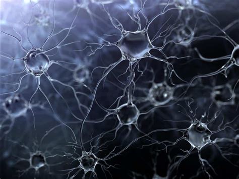 Dementia: Study helps to unravel the cause of brain cell …