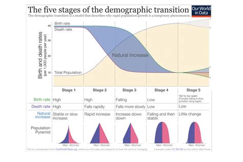Demographic Transition Model (DTM) - Economics Online