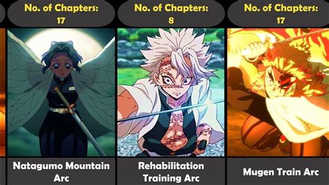 Demon Slayer Arcs in Order How Many Are There & What Are They About