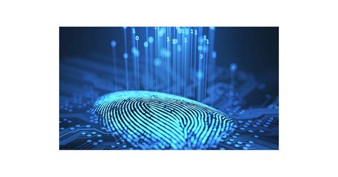 Demystifying technologies for digital identification