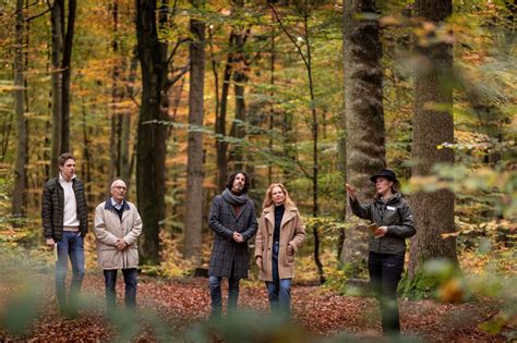 Den FriedWald Imsbach in Tholey kennenlernen - St. Wendeler …