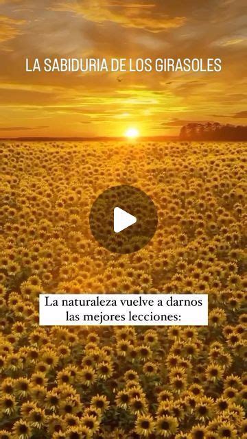 💦 Denadiee Leaks (SEX) 103 Vids